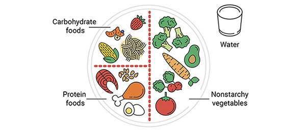 The first version of an updated Healthwise health education illustration showing portions for protein, carbohydrates and non-starchy vegetables